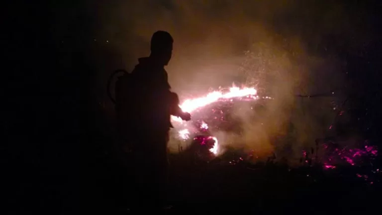 Fogo em vegetação mobiliza equipes do Corpo de Bombeiros de Corumbá | vídeo
