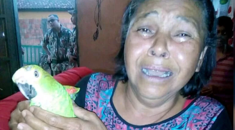 Mulher faz rifa para pedir guarda de papagaio que cria há 22 anos; animal foi apreendido pela PMA
