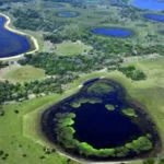 Homens ficam feridos após ataque de onça em fazenda no Pantanal