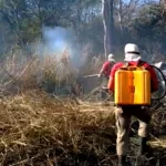 Bombeiros registram três incêndios em vegetação na área urbana de Corumbá | Vídeo