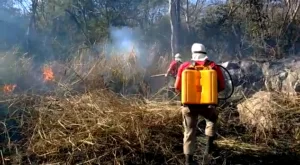 Leia mais sobre o artigo Comitê Municipal solicita apoio do Ibama para conter queimadas no Pantanal