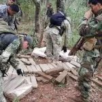 Ação na fronteira prende 2 e descobre 4.200 kg de maconha em mata