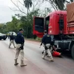 PRF recupera carreta roubada e caminhoneiro mantido em cativeiro em SP é liberado