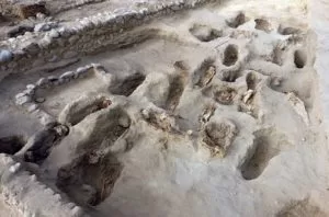 Leia mais sobre o artigo Aqueólogos descobrem restos mortais de 227 crianças sacrificadas no Perú