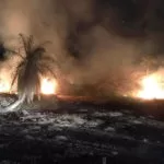 Bombeiros registram sete incêndios em vegetação: chamas chegaram próximo a fazenda e pesqueiro