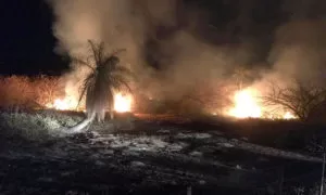 Leia mais sobre o artigo Bombeiros registram sete incêndios em vegetação: chamas chegaram próximo a fazenda e pesqueiro