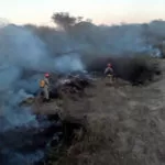 Bombeiros combatem incêndio em vegetação na fronteira