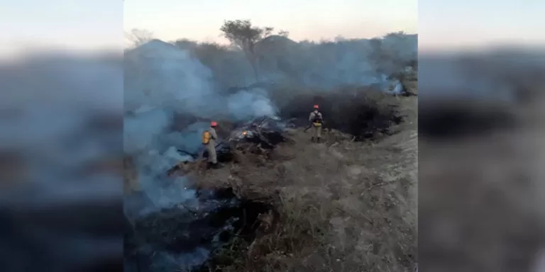 Bombeiros combatem incêndio em vegetação na fronteira
