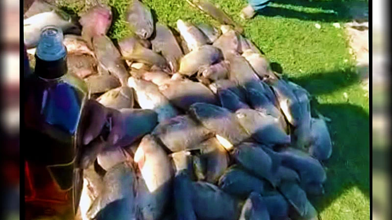 Leia mais sobre o artigo Após se exibir nas redes sociais, pescador é multado em R$ 34 mil por pesca predatória