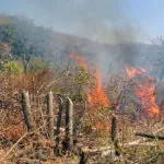 Bombeiros combatem incêndio em área de desmatamento no  Anel Viário