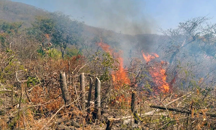 Você está visualizando atualmente Bombeiros combatem incêndio em área de desmatamento no  Anel Viário