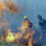 Incêndio destrói 500 mil hectares de vegetação na Bolívia e abala campanha de Evo Morales