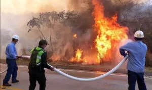 Leia mais sobre o artigo Bolívia está perto de quebrar recorde de incêndios florestais