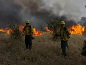 Leia mais sobre o artigo Governo antecipa decreto e pede ajuda federal para combater queimadas no Pantanal