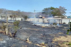 Leia mais sobre o artigo Corpo de Bombeiros combatem três incêndios na área urbana de Corumbá
