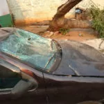 Árvore cai sobre carro em garagem de casa no Popular Nova