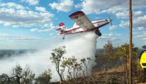 Leia mais sobre o artigo Combate às queimadas se intensificam com apoio de aeronave e bombeiros de Brasília