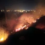 Bombeiros combatem incêndio florestal que ameaçava sede de fazenda