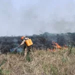 Bombeiros continuam combate a focos de incêndios às margens da BR-262