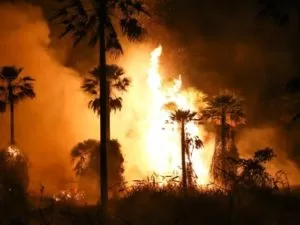 Leia mais sobre o artigo Avião do MT vai ajudar a combater incêndio no Pantanal