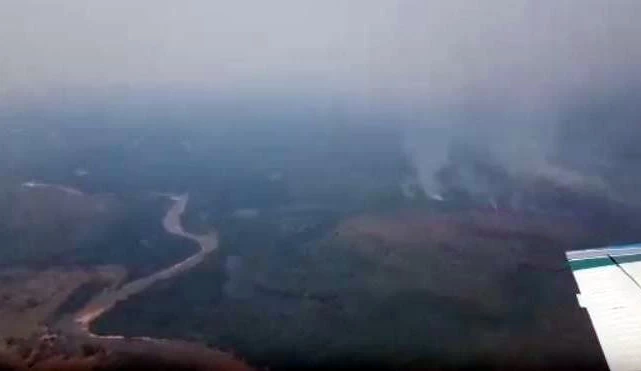 Você está visualizando atualmente Paisagem de destruição impressionam em área devastada pelo fogo no Pantanal