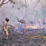 Ocorrência de incêndios no Estado cresceu 45% em 2019