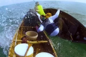 Leia mais sobre o artigo Vídeo: Tubarão trava batalha com pescador e ataca barco