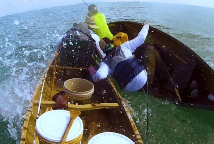 Você está visualizando atualmente Vídeo: Tubarão trava batalha com pescador e ataca barco