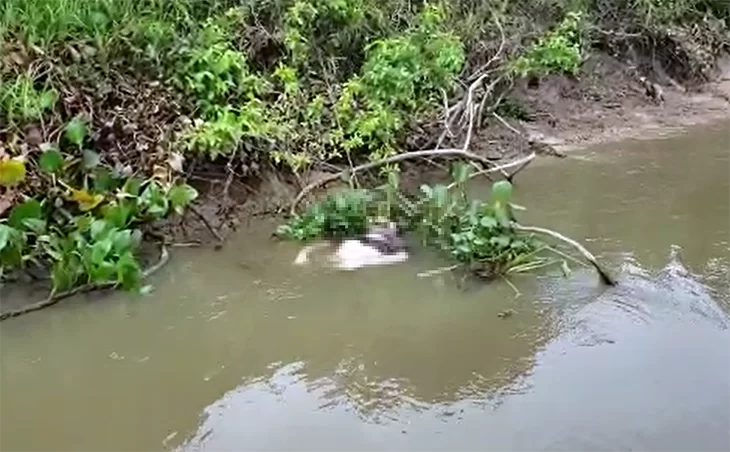 No momento, você está visualizando Corpo com marcas de tiros e facada é encontrado boiando no Rio Paraguai