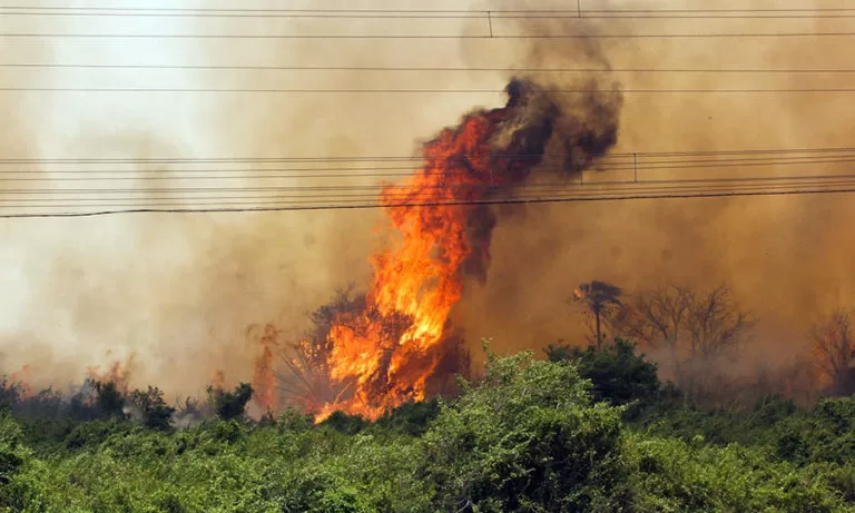 Governo do Estado anuncia reforço de pessoal e equipamentos para combate aos incêndios no Pantanal
