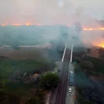 Incêndios no Pantanal já devastaram 20% do bioma