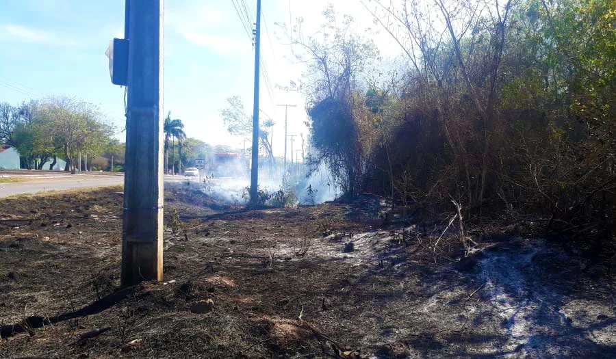 Você está visualizando atualmente Fumaça provocada por queimada criminosa interrompe tráfego de veículo na Ramão Gomez