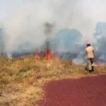 Incêndios em vegetação mobilizam equipes do Corpo de Bombeiros em Corumbá e Ladário