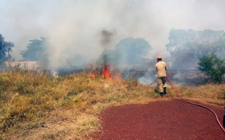 Incêndios em vegetação mobilizam equipes do Corpo de Bombeiros em Corumbá e Ladário