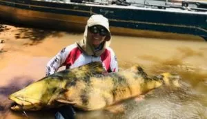 Leia mais sobre o artigo Não é papo de pescador: dentista fisga Jaú de 70kg em Alcinópólis