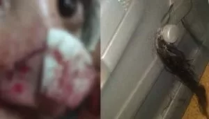 Leia mais sobre o artigo Homem atropela duas vezes, morde e arranca cabelos da mulher em MS