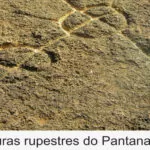 UFMS / CPAN inaugura Museu de Arqueologia do Pantanal