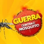 MS lança nesta segunda-feira campanha de enfrentamento de doenças transmitidas pelo Aedes aegypti