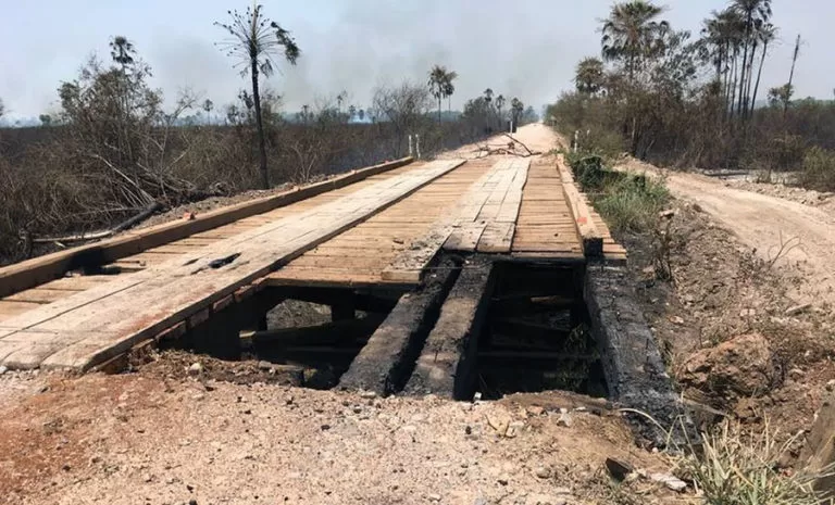 Queimada no Pantanal de MS já destruiu área equivalente à cidade do Rio de Janeiro