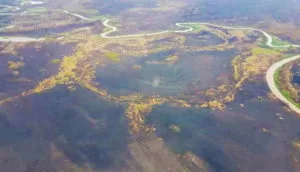 Leia mais sobre o artigo Chuva alivia focos de incêndios, mas Pantanal teve 173 mil hectares destruídos pelo fogo