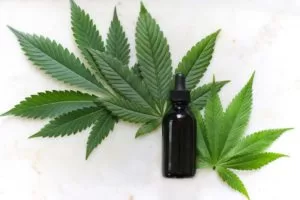 Leia mais sobre o artigo Anvisa libera venda de produtos à base de cannabis em farmácias