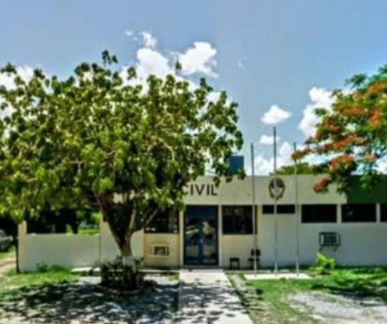 Mãe retornou na delegacia para dizer que filha vai manter gestação em MS, diz delegado — Foto: Polícia Civil/Divulgação