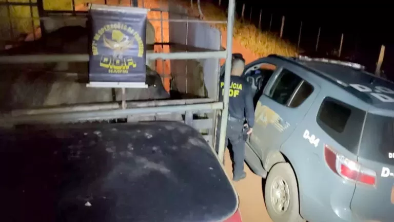 Ao perceberem abordagem policial, homens abandonam caminhão carregado com gado sem documentação em MS