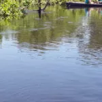 Peão morre afogado após cair de cavalo quando atravessava Corixo no Pantanal