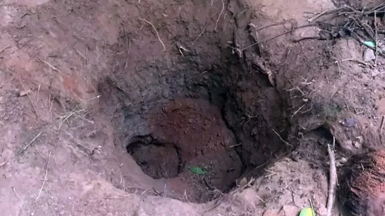 Morta pela mãe, menina de 10 anos foi enterrada viva e implorou socorro