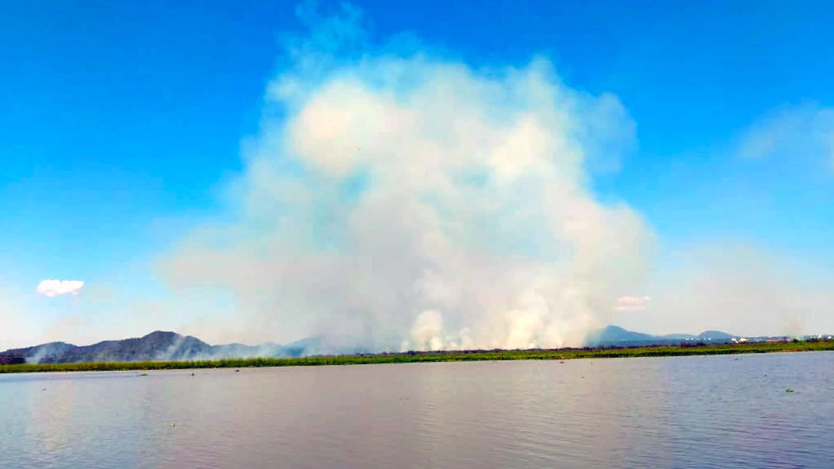 No momento, você está visualizando Fogo volta afetar o pantanal e fumaça altera operação do Aeroporto