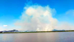 Leia mais sobre o artigo Fogo volta afetar o pantanal e fumaça altera operação do Aeroporto