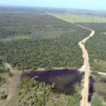 Rodovia de 450 quilômetros para escoar grãos é considerada ameaça ao Pantanal