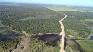 Leia mais sobre o artigo Rodovia de 450 quilômetros para escoar grãos é considerada ameaça ao Pantanal