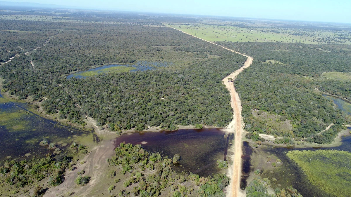 Você está visualizando atualmente Rodovia de 450 quilômetros para escoar grãos é considerada ameaça ao Pantanal